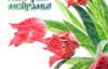 Құттықтау: Ұлыс оң болсын, Ақ мол болсын,