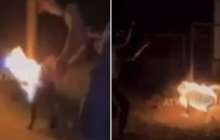 Атырауда итке бензин шашып, өртеп жіберген екі жас баланың бейнежазбасы жаға ұстатты