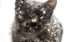 16 қарашаға арналған ауа райы болжамы