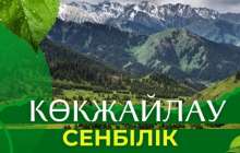 Көкжайлауда кезекті экологиялық сенбілік өтті