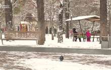 Тоқаев өзгерткен "Зорлық-зомбылық" заңына көңілі толмайтындар көп