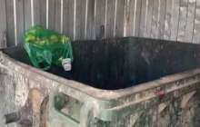 Оралда қоқыс жәшігінен нәрестенің денесі табылды