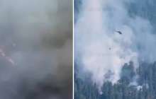 Абай облысында орман өртенді