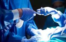 Камчаткадағы жер сілкінісі кезінде отаны тоқтатпаған дәрігерлер марапатқа ұсынылды (ВИДЕО)