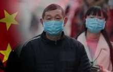 Қытайда маса арқылы таралатын жаңа вирус өршіді