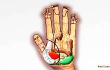 Алақанға қарап ауруды анықтауға болады