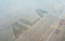 Алматыда ғарыштан көрінетін "ALA" бағы отырғызылмақ