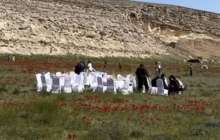 Маңғыстауда қалың қызғалдақтың ортасына дастархан жайғандар жұрттың ашуын туғызды