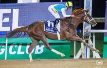 Кабирхан Дубайда өткен додаға қатысқан жоқ