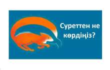 Бірінші не көрдіңіз: түлкі ме, дельфин бе? (психологиялық тест сіз туралы не айтады)