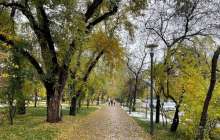 Алматы қаласының 1-7 қараша аралығына арналған ауа райы болжамы