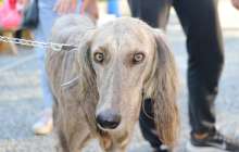 "Қан мен қақтығыс көп болады": Танымал көріпкел 2021 жылға болжам жасады