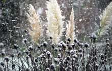 Қар жауып, күн жылиды. 26-28 қаңтарға ауа райы болжамы