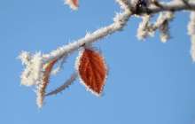 5-7 қазан күндері қар жауып, күн суытады