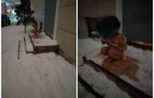 8 жасар қызын далаға қуған әйелге жұмыс іздестіріліп жатыр