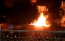 Алматыда Президент саябағы аумағында өрт шықты (видео)