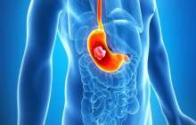 Асқазан туралы қазақша: қызметі мен құрылысы