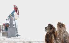 Ақтөбедегі Қытай компаниясы "млн теңге жалақы түбіртегіне" қатысты жауап берді