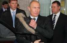 Путиннің оққағары суға кетті