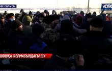 Ақтөбе облысында шошқа фермасының жұмысшылары мен тұрғындар төбелесіп қалды