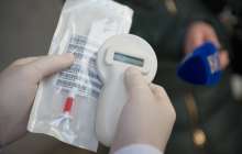 Алматыда чип салу науқаны басталды