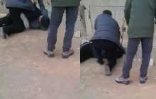 "Мен адаймын!". Ақтауда ер адам жерде жатқан азаматты аямай соққыға жықты (видео)