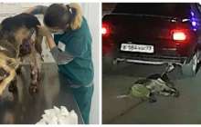 Атырауда көлікпен сүйреген иттің жағдайы белгілі болды