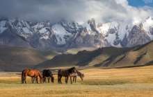 "Мысалы, Абай, Қызылжар облысы деп". Саясаткер үш облыстың атауы өзгеретінін болжады
