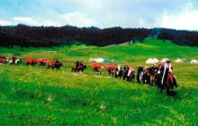 Cалтанатты көш эссе