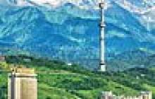 Ауа райын жан-жануарға қарап болжауы