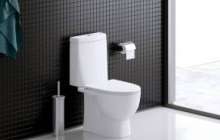 Астана әкімдігі әжетханалар салу үшін 281 миллион теңге жұмсамақ