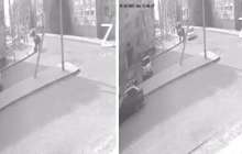 Құлсарыда түйе баланы таптап кетті