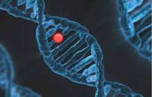 “Туыстық некеден” - Өзбекстанда балалардан ондаған жаңа гендік мутация анықталды