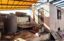 Күйеуі Кореяға жұмысқа кеткен: 34 жастағы әйел 5 баласымен өртеніп кетті