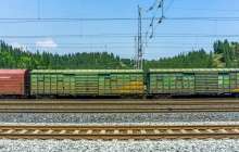 Астанадан Аршалыға жеткен: жүк пойызымен «серуендеп жүрген» 8-11 жастағы үш бала ұсталды