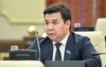 "Ол - менің ұлым, мен оны жасырған емеспін" - депутат желідегі айыптар туралы