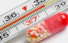 Дене қызуы 40°С-қа дейін көтеріледі: Қазақстанда белгісіз вирус тарап жатыр