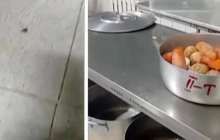 “Ботқадан жәндіктер шыққан”: Балабақшада өріп жүрген жәндіктер жаға ұстатты