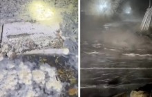 Қостанайда саяжайлар суға кетті: Нәжіс аралас су ауланы басып қалды (видео)