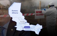 Алматы облысындағы "жер мафиясы":  жұқпалы аурудан өлген малды көмген жер неге пайдалануға берілді?