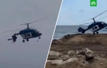 "Бес адам қаза тапты": Тікұшақ жерге қона алмай, апатқа ұшырады (ВИДЕО)