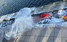 Тоғаннан сөмкеге салынған баланың басы табылды