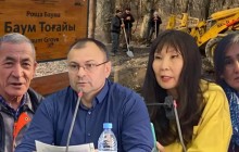 «10 мың ағаш отала ма?». Алматыдағы «Баум тоғайының» тағдыры қалай болмақ?