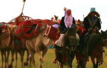 «Қазақтардың тірі болып, жер басып жүргендері татарлардың арқасы»