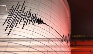 Түнде Шымкент пен Тараз халқы Өзбекстанда болған жер сілкінісінен оянды