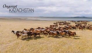 Еуропалық Porschist журналының Қазақстан туралы арнайы саны жарыққа шықты