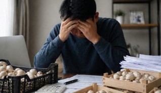 «Айына миллион табасың»: Англияға жұмысқа жіберемін деген әйел 10 адамды алдап кетті