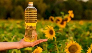 Майлы дақылдар экспорты миллиард долларлық межеге жақындады