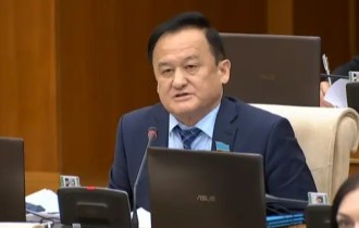 Мемлекеттік тіл заңнамасын жетілдіру қажет – Қазыбек Иса