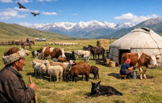 Судай аққан субсидия: мал шаруашылығына бөлінген 30 млрд теңге қайда?